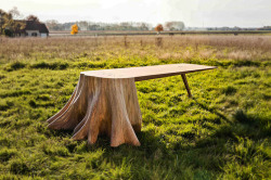 mymodernmet:  Raw Tree Stump Seamlessly Extends into a Polished Wooden Table