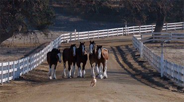 I started crying again just from seeing this gif