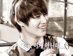 The Noona Diaries