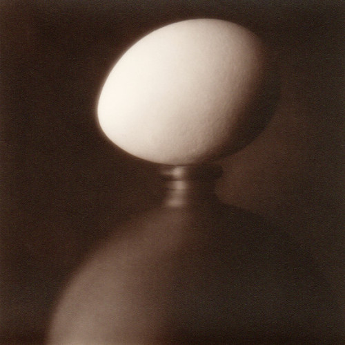 Egg, 2003Ion Zupcu