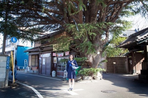 #portrait #photograph #photoshoot #japanese #japaneseview #schooluniform #girl #spring #架空荘 #kakuuso