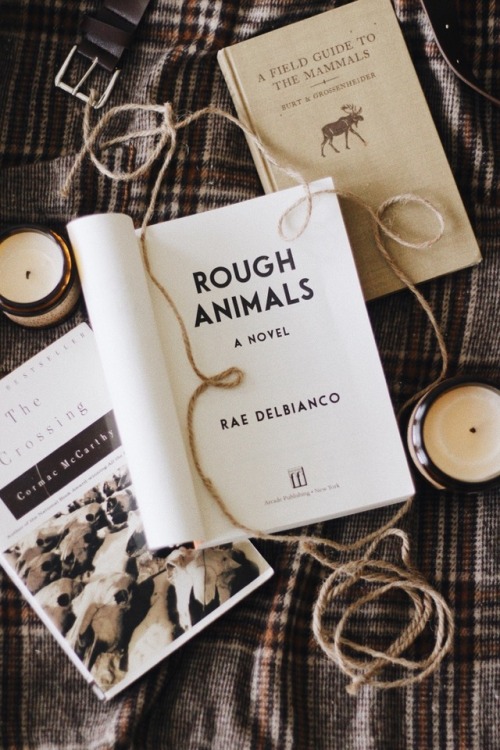 My friend Rae Delbianco recently published her debut novel, Rough Animals, and it’s incredible