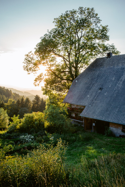 Black Forest Vibes - Schwarzwald, August 2016by A European Esacpe