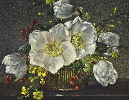 Christmas Roses  -  Cecil Kennedy  1952British 1905 -1997