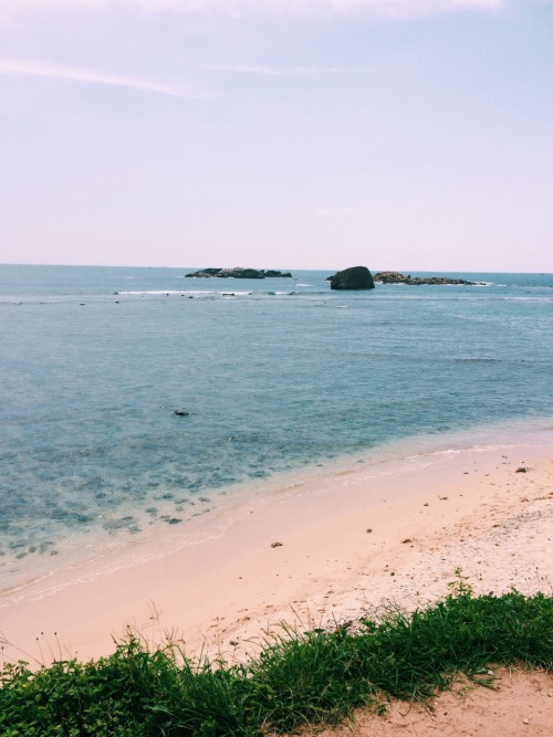 -vvaste:galle