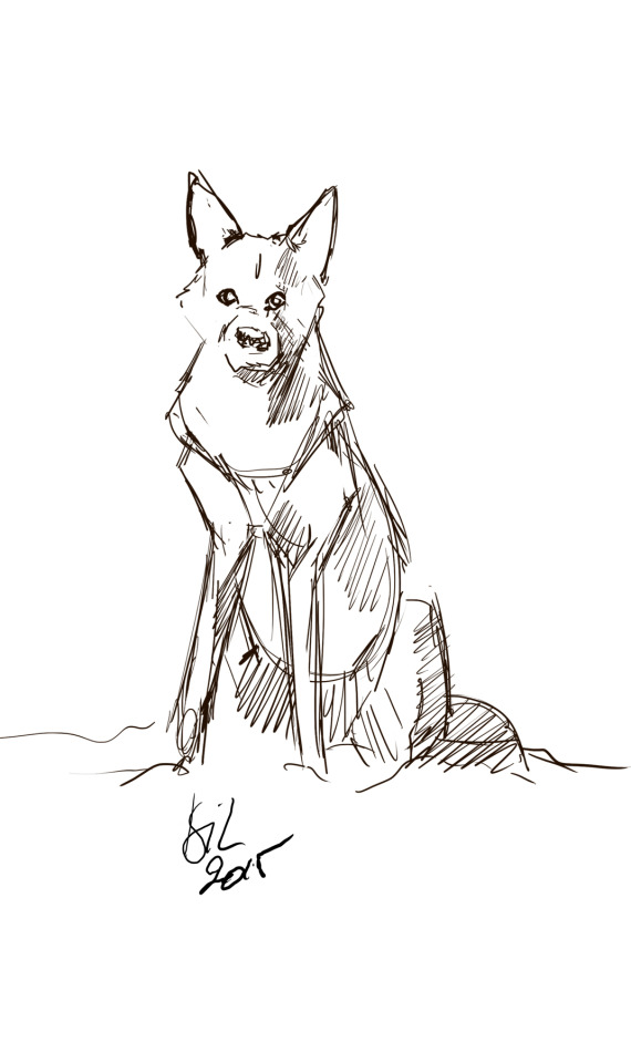 Doggy Sketches For Fun.