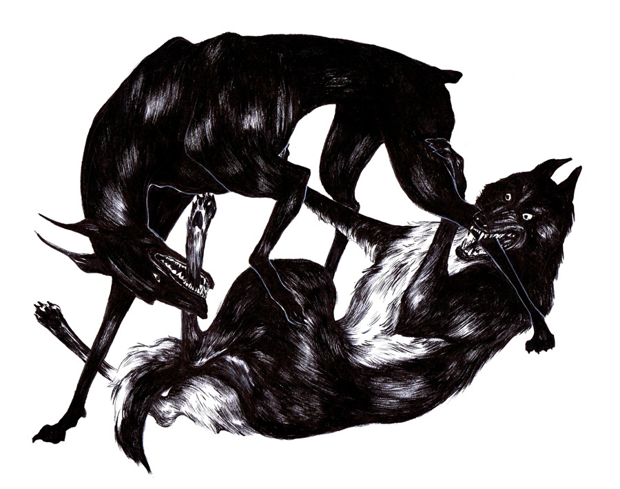 naomibbutterfield:  &ldquo;Lover&rdquo;; a brush pen sketch from my sketchbook,