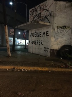 Vuélveme a querer, ¿si?. 