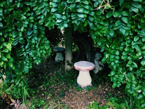 naturespiritheart:I found a Faerie alcove 