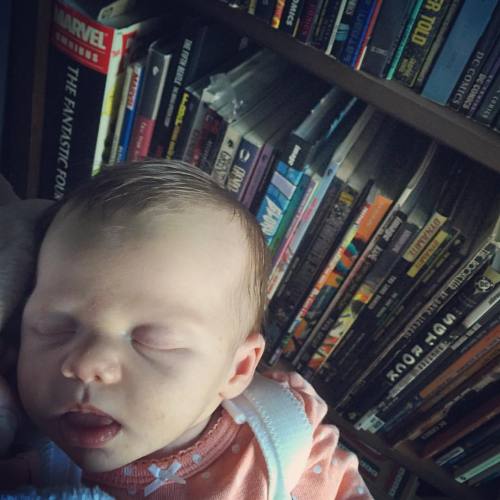 Snoozing In The Archives.