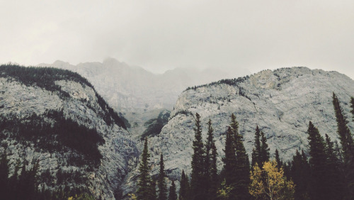 mystic-revelations:  Untitled By Tyler Forest-Hauser 