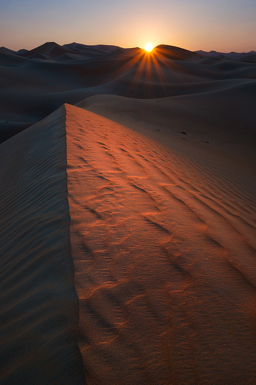 sundxwn:  The last call of Light by Hamed Musharbak 