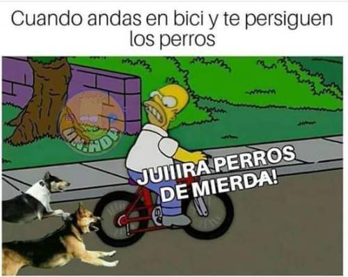 Memes de Los Simpsons en español en Facebook http://bit.ly/2pe8OpA