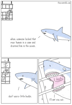 fact-check-your-opinions:  ovyy-pvcure:  theycantalk:  Shark Rescue   th0sejetpackblues  sharky-head 