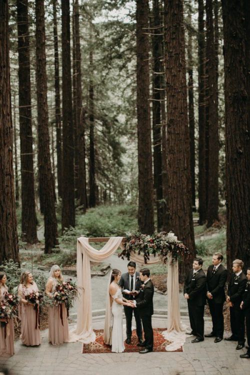 placestosayido: UC Botanical Garden in Berkeley, CA // From the Daisies