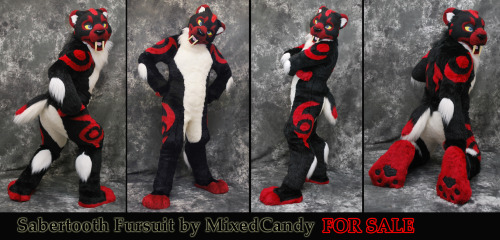 We are offering up for sale a gorgeous Sabertooth fursuit built by MixedCandy (www.mixedcandy.com). 
