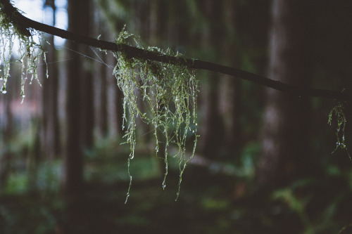 robsesphoto:Missing Oregon part 2… Cant wait for new adventures later this year…w