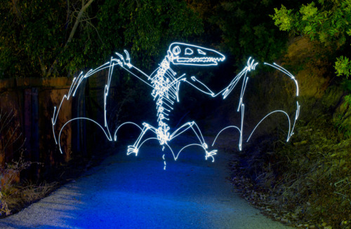 wacky-thoughts:  LED Light Paintings by Darren Pearson 