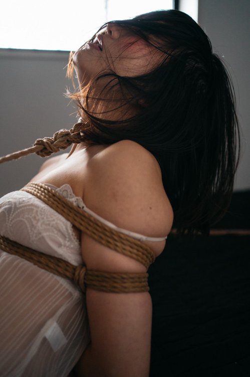 Shibari &amp; Photo Kasumi HouraiModel 凛 ­­