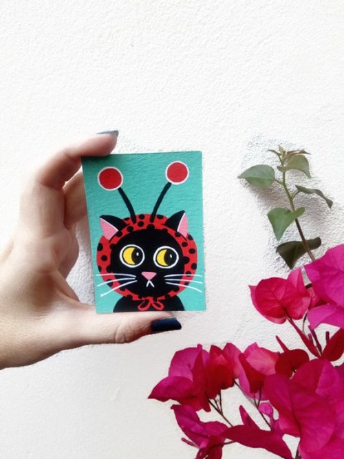 Ladybug Cat //EvelynAtWork