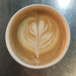 First latte of the day looks like this. 