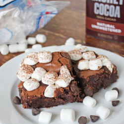 Delicious-Food-Porn:   Hot Cocoa Brownies The Best Fudge Brownies Chocolate Chip