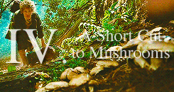 kingthorin-moved-deactivated201:    Chapters featured in The Lord of the Rings film trilogyThe Fello