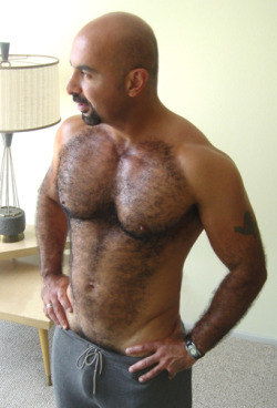 hairy chest - sexy muscle - mature men