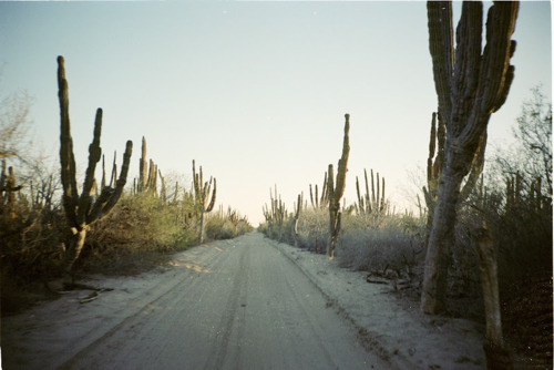 ateliercornelia:  Color Study: Desert Sky Alice Blue, Baby Blue, Sky Blue, Periwinkle,