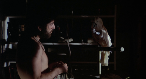 adeerhunter:Serpico (Sidney Lumet, 1973)