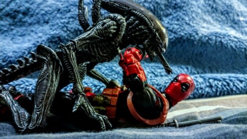 mysticghidorah:  Tongue? On the first date!?  I can dig it.  You know, I wonder what would happen if Deadpool got infected by a facehugger. Would the born alien have his healing properties? Or would it just burst from his chest as Deadpool looks into