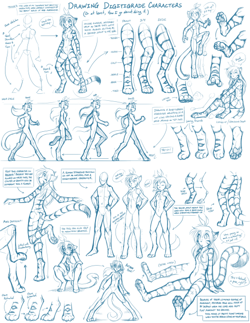 XXX artist-refs:Tkturials - Digitigrade Legs photo