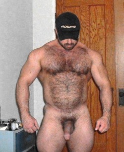 Hot Muscle Bear