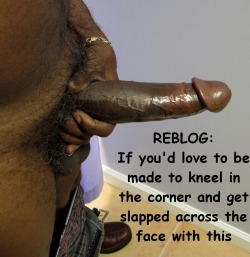 sissyjackforbigblacks:  robynluvsblk:  faggotssissiestraps: