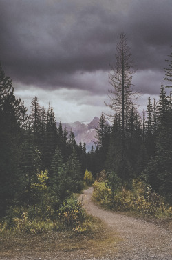 man-and-camera:  Yoho National Park Trail Head ➾ Luke Gram Going through old photos that I haven’t published cause it’s raining so much