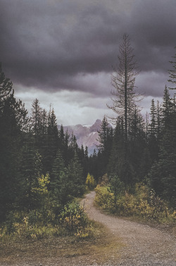 man-and-camera:  Yoho National Park Trail