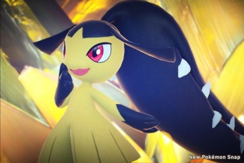 Mawile Facts