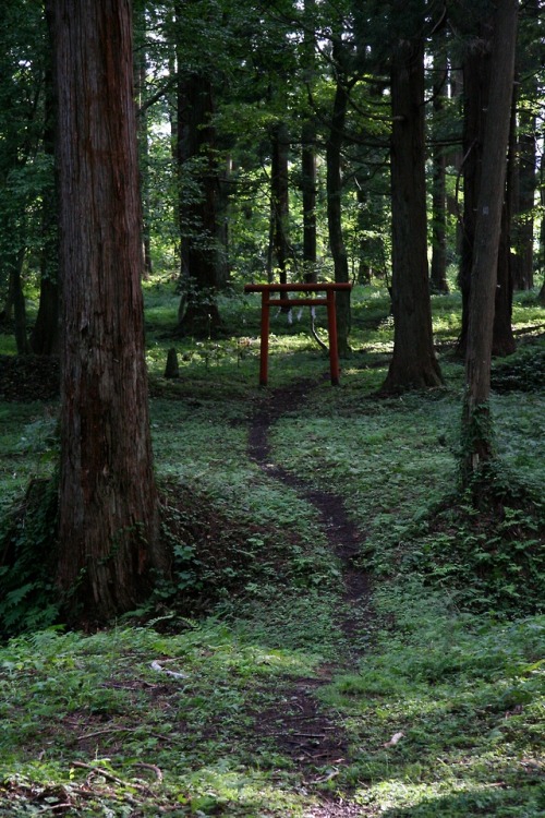 wanderlustjapan:  Torii Gate Up Mt Haguro, Yamagata, Japan by Katy Ereira