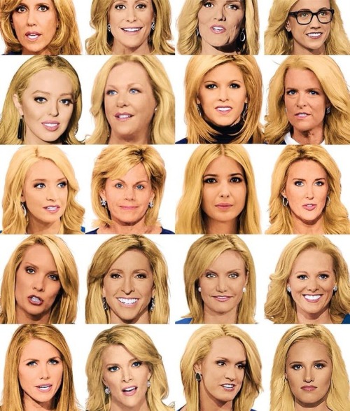 neshatriumphs: beyond-the-political-spectrum: So FOXNews CAN keep these women straight, but confuses