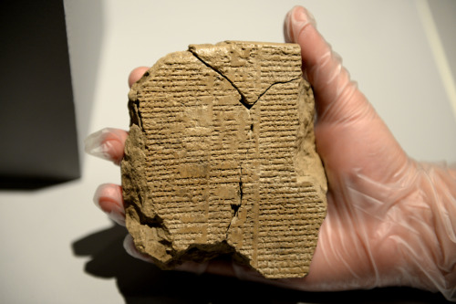 ahencyclopedia:THE NEWLY DISCOVERED TABLET V OF THE EPIC OF GILGAMESH: THE new T.1447 tablet, accord