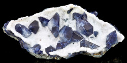 fuckyeahmineralogy:  Benitoite on Natrolite;