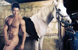 sghotties:  Jason Chee is at his best when he’s naked. Reblog if you agree 😝😝