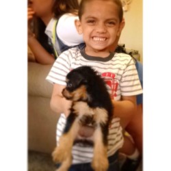 Porque la inocencia de un niño es lo mas hermoso que hay&hellip;. Y él me cautiva con su hermosa mirada todos los dias!! #baby #boy #big #smile #puppy #good #moments #with #el