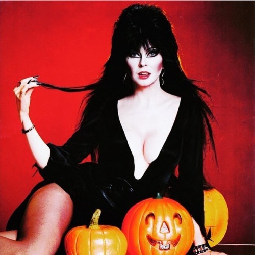 Coming soon! #queenofhalloween #elvira #elviramistressofthedark #emotd #elviramotd #hero #fridaythe1