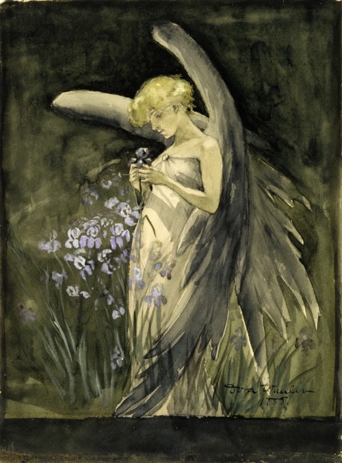 Fairy in irises.1888.Watercolor, gouache and graphite on off-white thick wood pulp wove card.25.4 x1