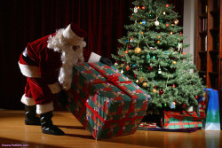 paddedtails:  badlilblubunny:  petplayblog:  www.petgirls.com  This made me think of a certain pup I know…  @paddedtails   @badlilblubunny : Awwww Kiss Kiss Wruffs! xxxo Merry Xmas Luvs =D