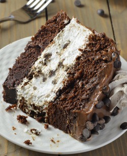 do-not-touch-my-food:    Oreo Cheesecake Chocolate Cake   