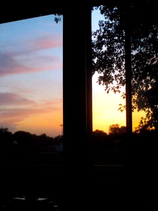goldminimalism:  Sunset from the living room. 