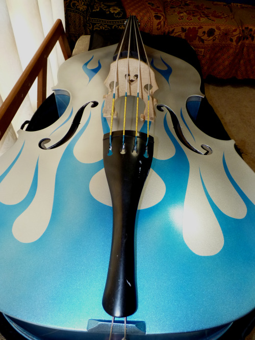 backtobass:  Introducing ‘Fancy Pants’, the ¾ Salieri rockabilly bass. Many thanks to Matthew Ward for passing her on to me :)  I love her already.  First thing I played on her?  The riff from “Smoke On The Water” LMAO. 