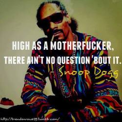 Into A Stoner's Mind!